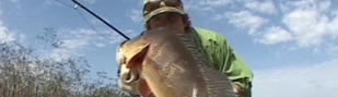 2007 Drake Magazine Fly Fishing Video Awards