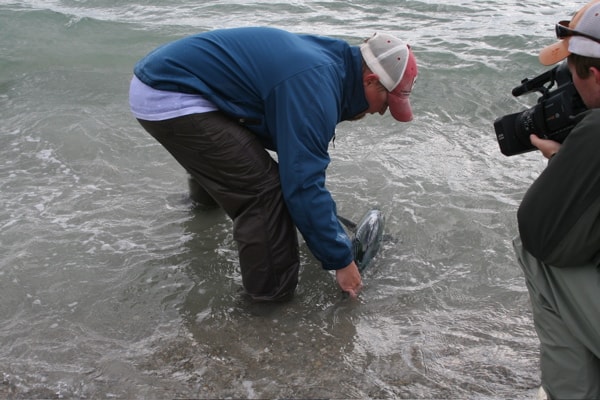 sethsurf2.jpg sethsurf2.jpg