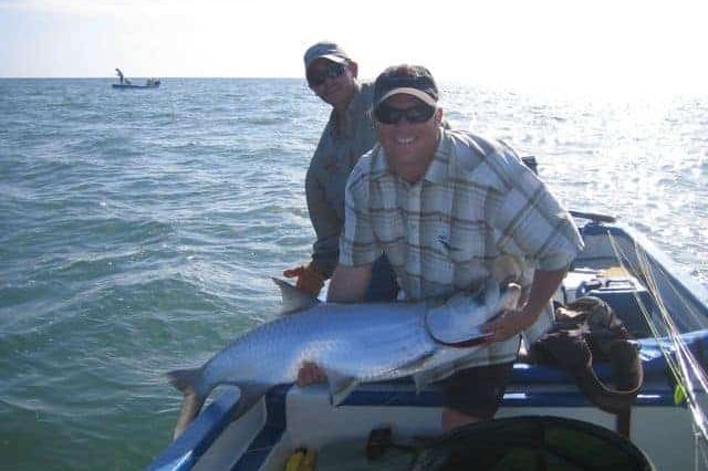 Florida Tarpon Florida Tarpon