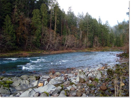 umpqua
