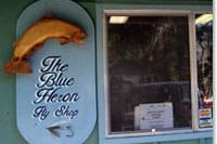 blue_heron