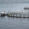 Salmon_farm