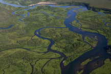 bristol-bay