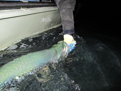 Florida Keys Outfitters is based in Islamorada, Florida.