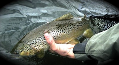 Opener