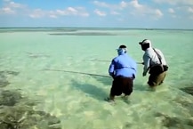 Pesca