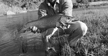 The Provo River used to have some of the largest trout back in the 40's.