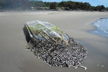 japan_boat