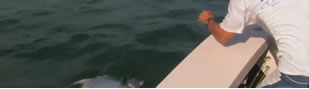 2013 Drake Magazine Fly Fishing Video Awards