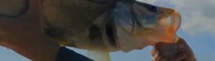 2013 Drake Magazine Fly Fishing Video Awards