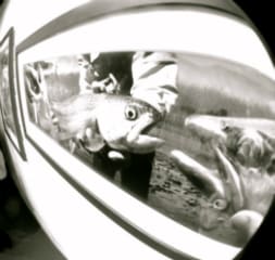 photo-58
