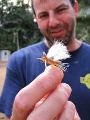 Mertens Web