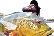 Geobass2 Geobass2