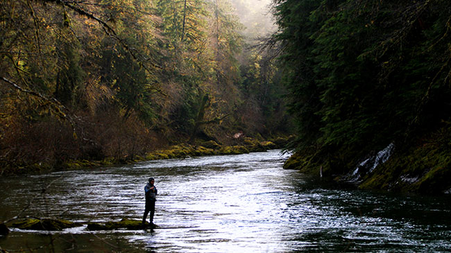 Clyde close to Seattle, stopping for steelhead hunting.