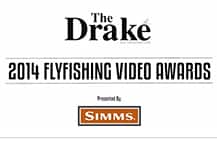 Vid Awards edit