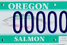 salmonplate.ed salmonplate.ed