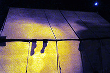 socks1 copy
