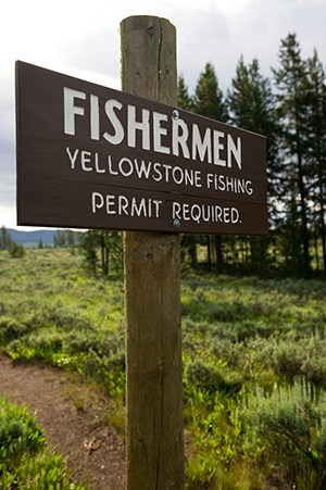 LETTER FROM YELLOWSTONE