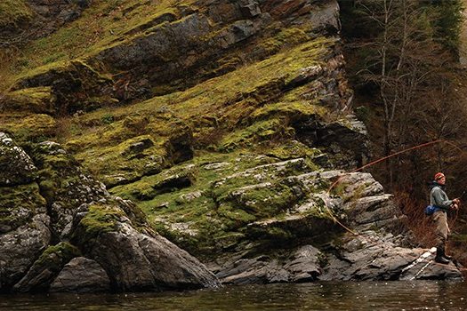 The Greatest Steelhead State that Never Was