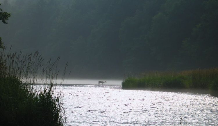 Another day on the Delaware