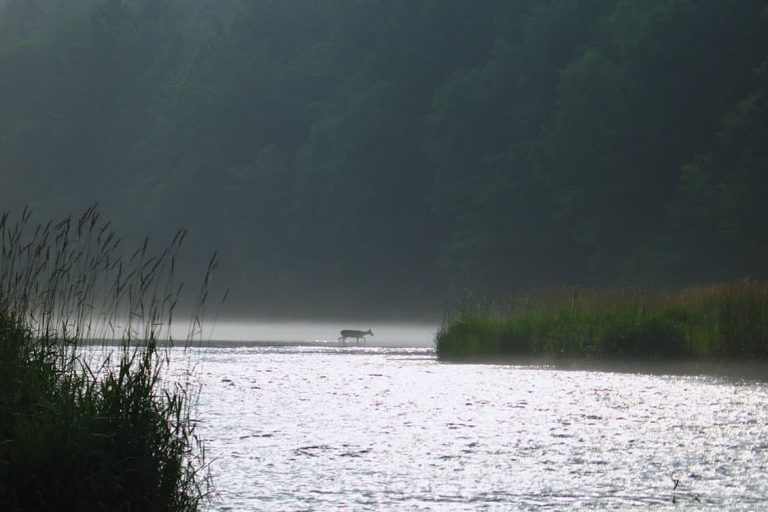 Another day on the Delaware
