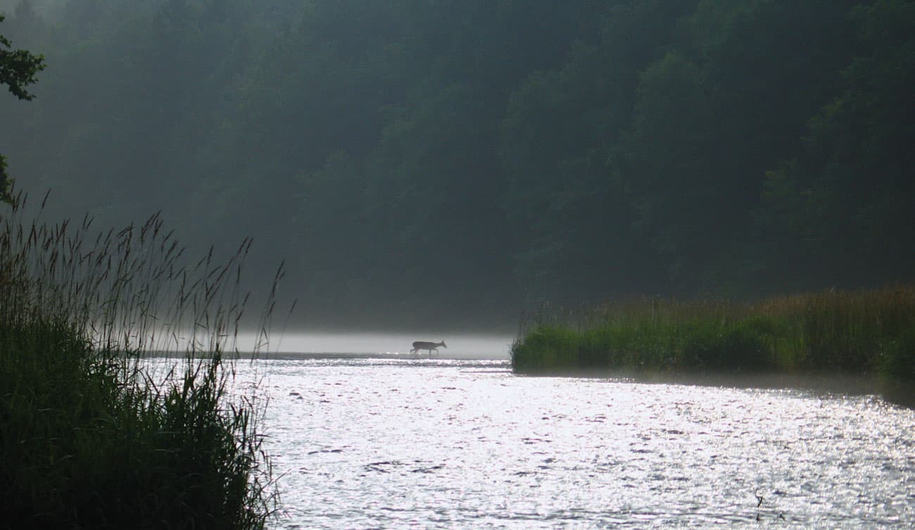 Another day on the Delaware Another day on the Delaware