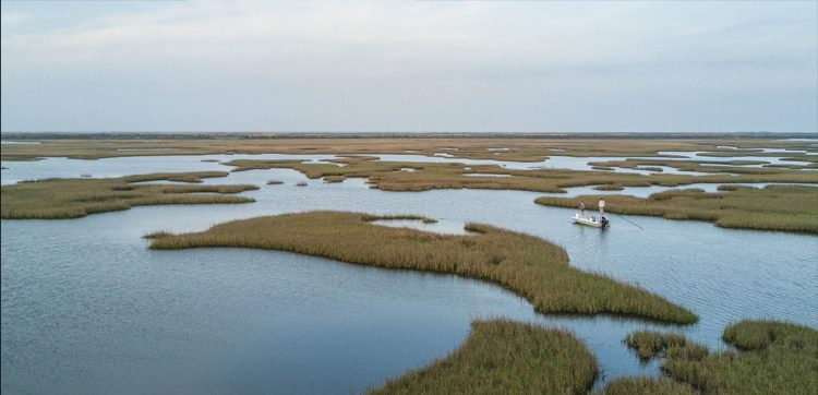 Competition runs deep in the Biloxi Marsh Competition runs deep in the Biloxi Marsh