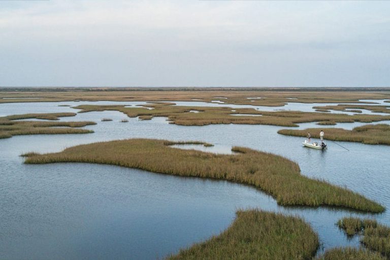 Competition runs deep in the Biloxi Marsh Competition runs deep in the Biloxi Marsh