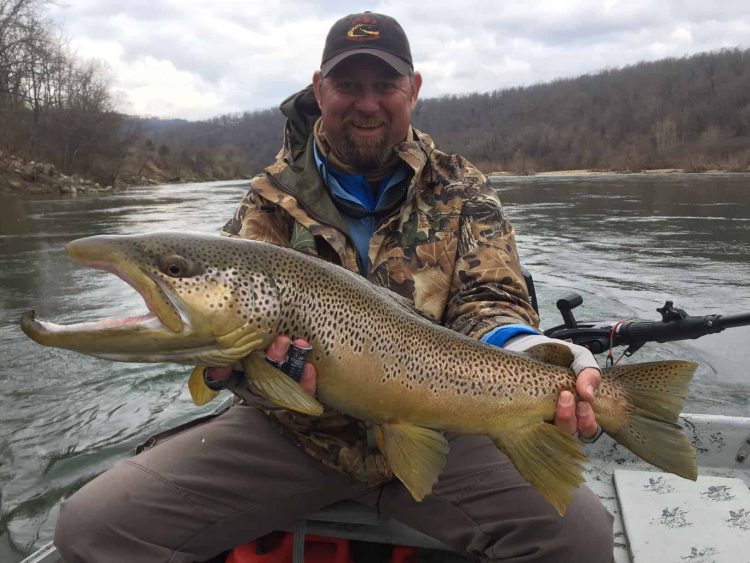 White River Brown Trout David French Gabe Levin The DrakeCast