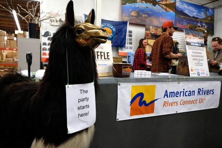 The DrakeCast Fishpond This is Your River Llama The DrakeCast Fishpond This is Your River Llama