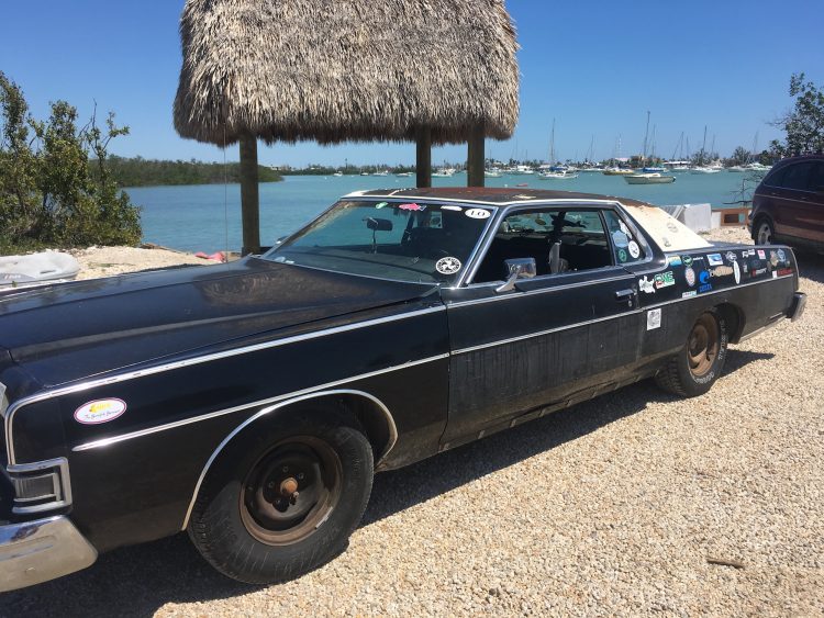 Clyde in the Florida Keys