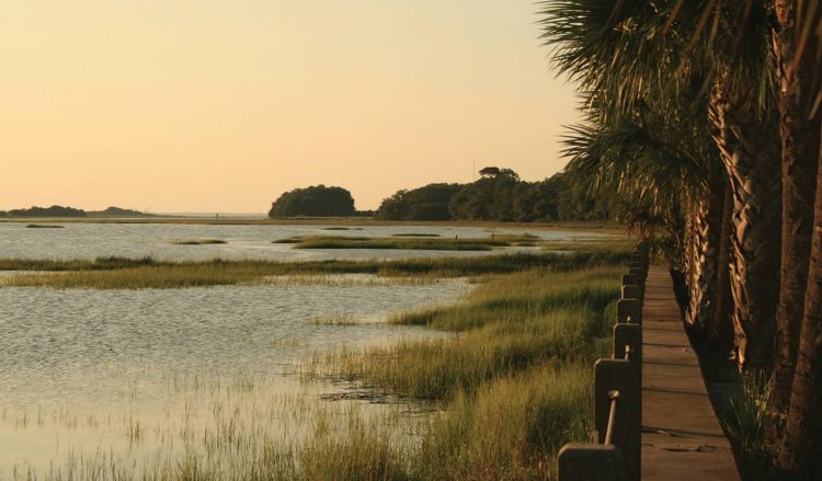 Pipeline Issues of Southern Marshlands