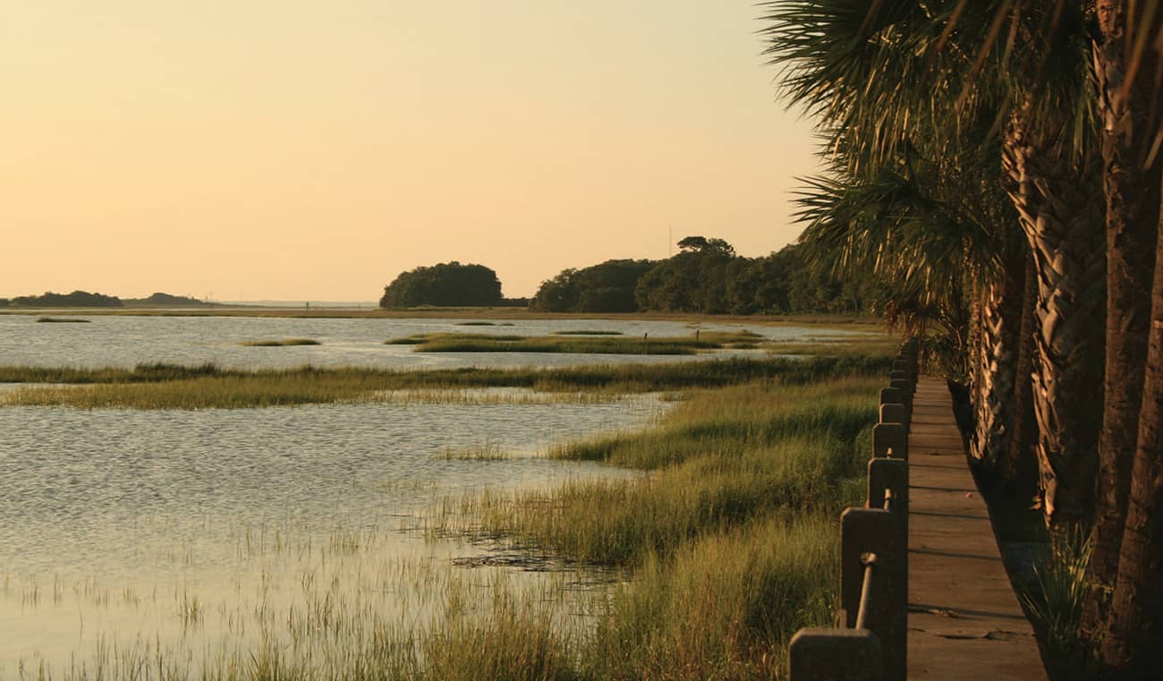 Pipeline Issues of Southern Marshlands