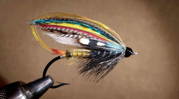 Endangered Bird Feathers make up Expensive Flies