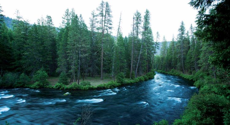 Oregon’s Metolius River