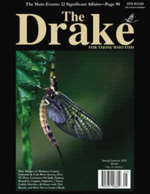 2010_spring_cover