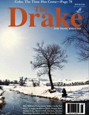 2010_winter_cover