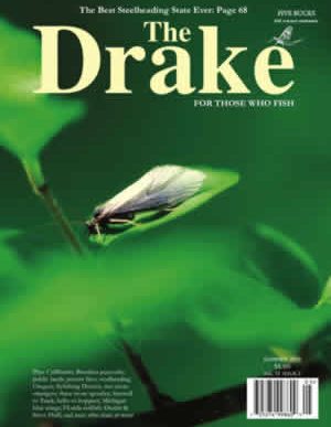 2011_summer_cover