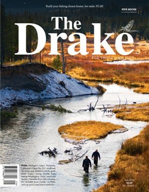 2013_fall_cover