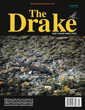 2014_summer_cover