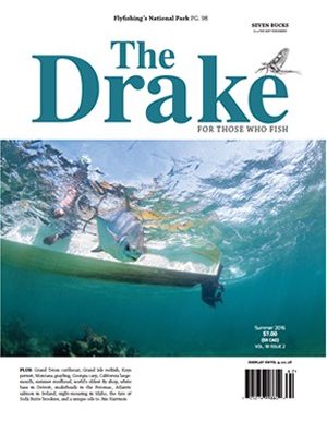 2016_summer_cover