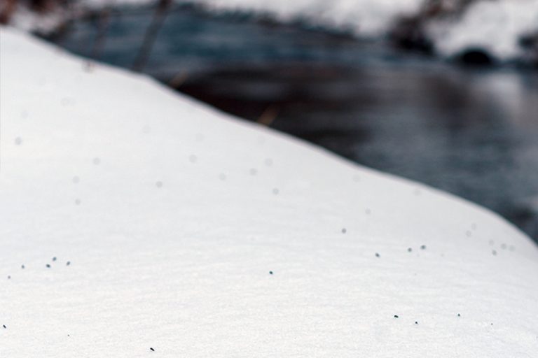 winter_driftless_header2