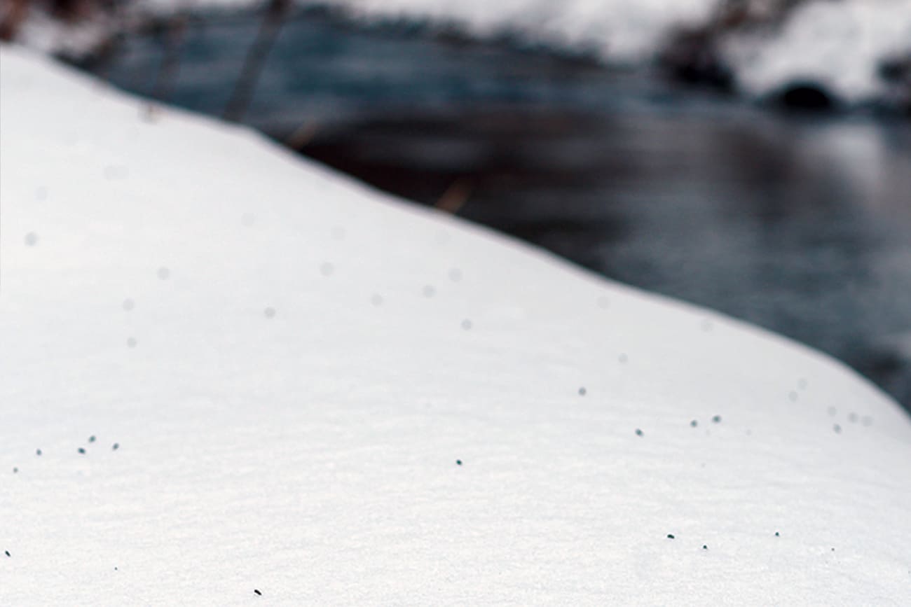 winter_driftless_header2