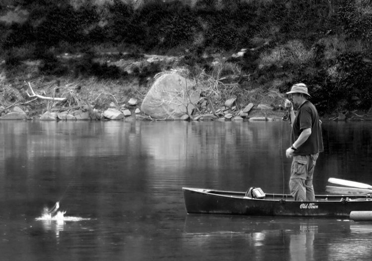 FISHING AT FLETCHER’S COVE ON THE POTOMAC, ONE OF THE BEST SHAD FISHERIES IN THE COUNTRY FISHING AT FLETCHER'S COVE ON THE POTOMAC, ONE OF THE BEST SHAD FISHERIES IN THE COUNTRY