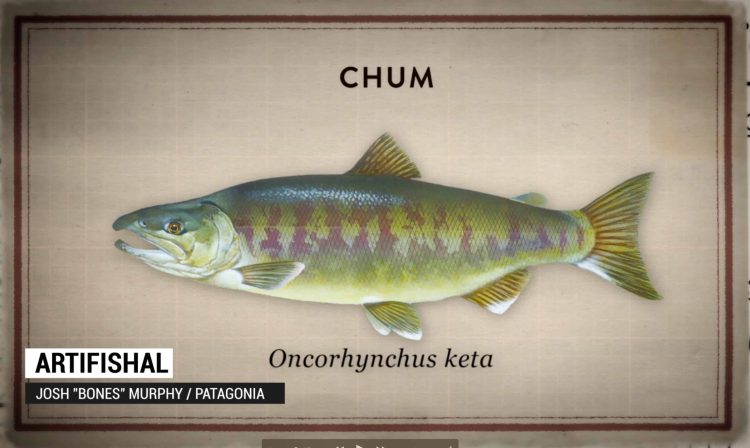 Drake Magazine Flyfishing Movie Awards 2019