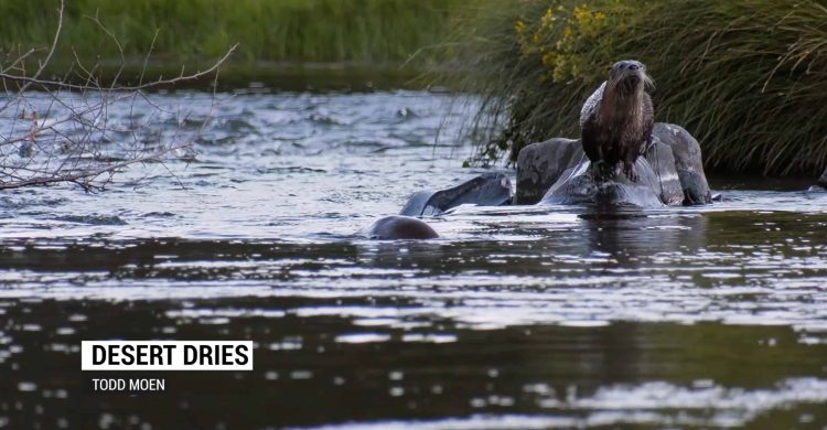 Drake Magazine Flyfishing Movie Awards 2019