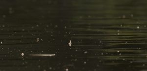 Drake Magazine Fly Fishing Sponsors Intro and Outro 2019 Drake Magazine Fly Fishing Sponsors Intro and Outro 2019
