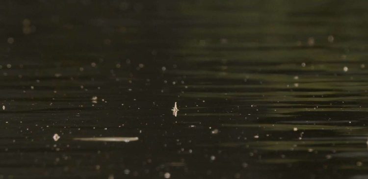 Drake Magazine Fly Fishing Sponsors Intro and Outro 2019