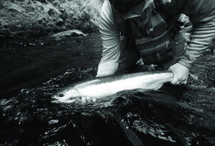 Drake Magazine Podcast Northwest Steelhead