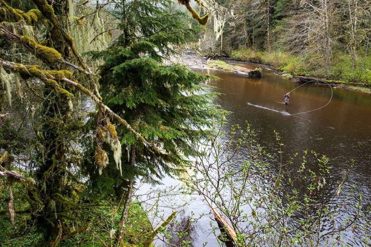 Drake Magazine Southeast Alaska Tongass